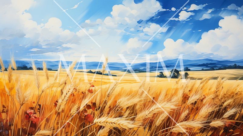 ウクライナの国旗にもなっている原風景：広大な小麦畑の上に青い空が広がっている