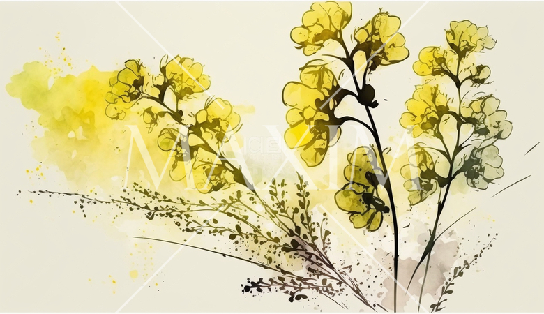 菜の花（油菜）の水彩画