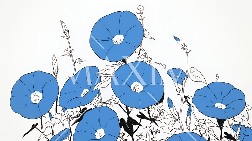 アサガオの花（シンプルな色使い）