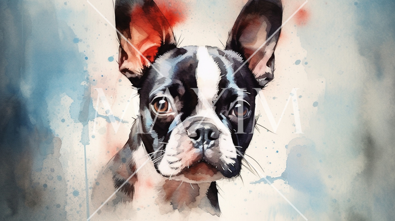 ボストンテリアの水彩画