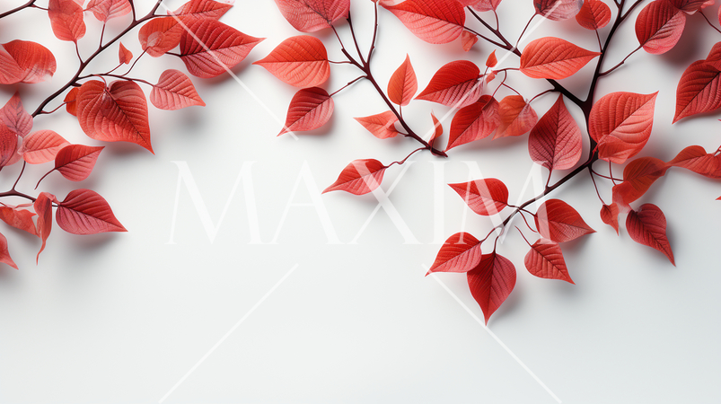 枯れ葉のある美しい秋の自然の白い背景：テキストコピースペースあり