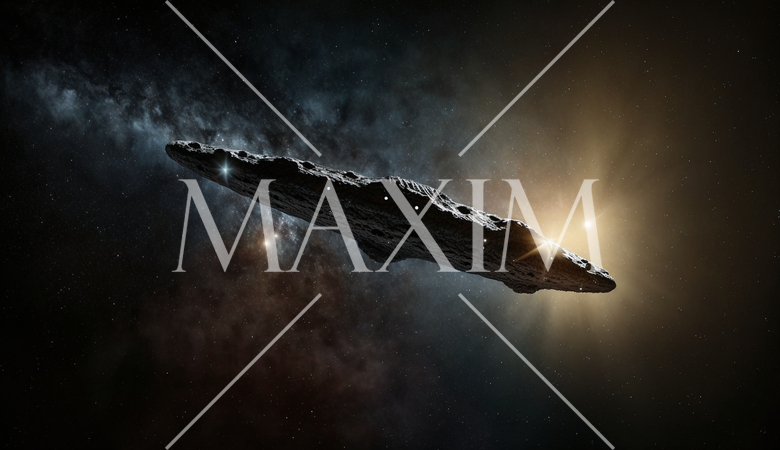 オウムアムア：太陽系外天体