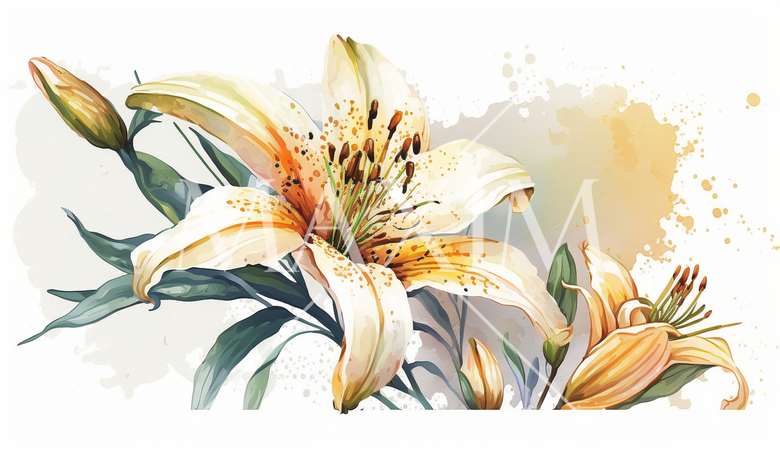 ユリの花の水彩画