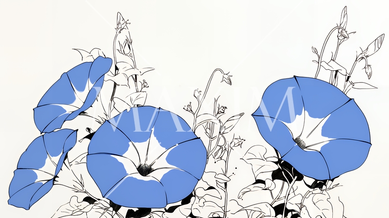 アサガオの花（シンプルな色使い）