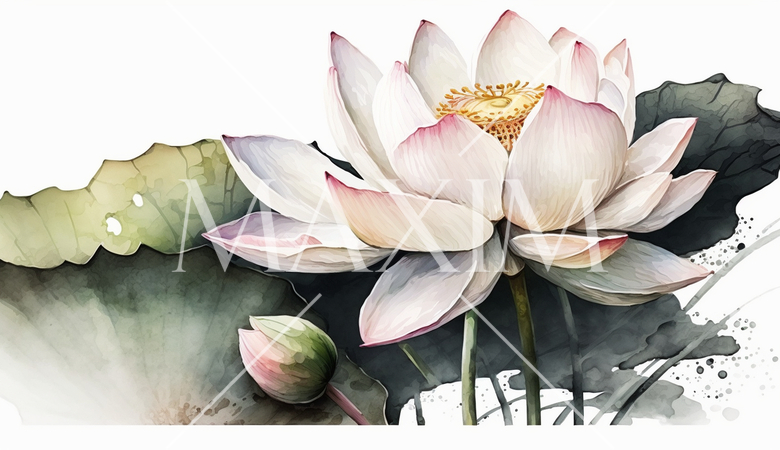 ハスの花の水彩画