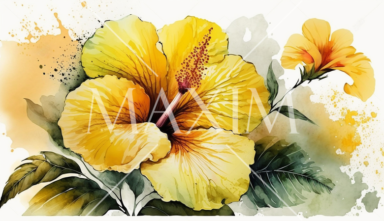 ハイビスカスの花の水彩画