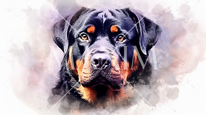 ロットワイラー犬の水彩画