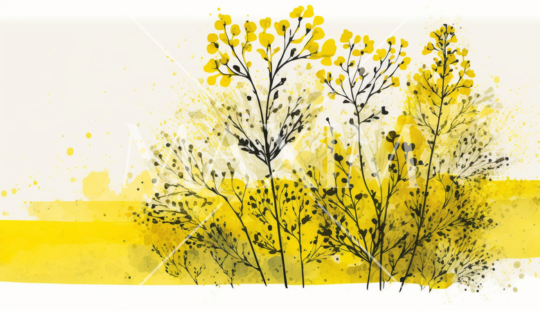 菜の花の水彩画