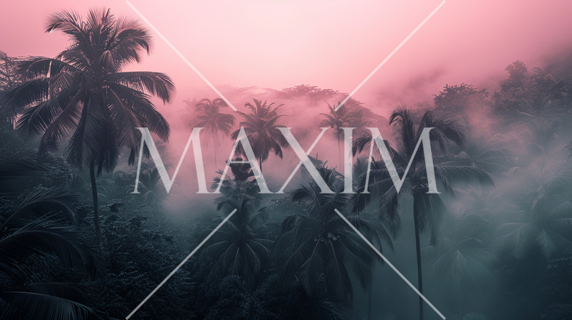 朝日か夕日時に椰子林に立ちこめる靄