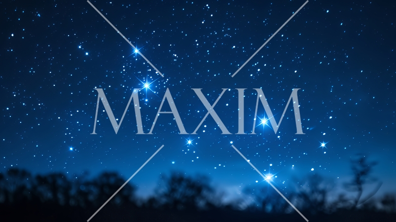 スターリーナイト：夜空に星が数多く輝いている