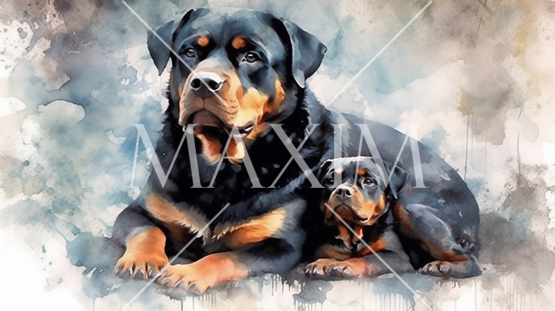 ロットワイラー犬の水彩画