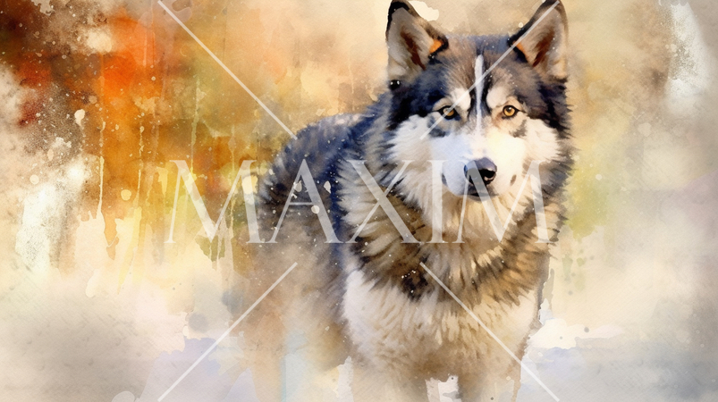アラスカン・マラミュート-水彩画