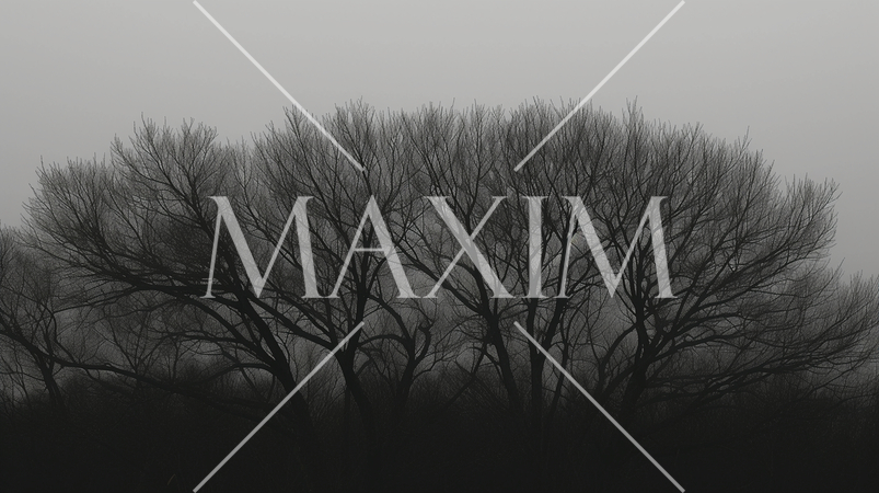 冬の広葉樹：白黒画