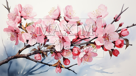 桃の花の水彩画（イラストID:6839945-19847）