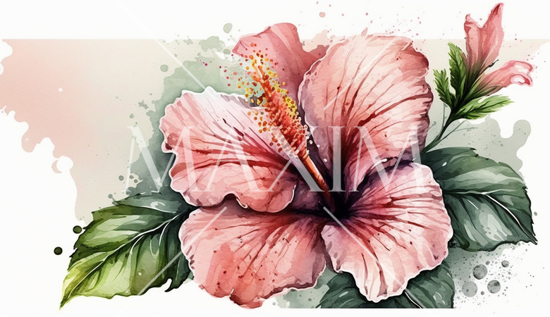 ハイビスカスの花の水彩画