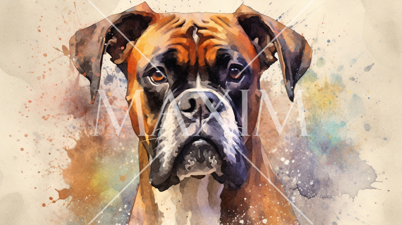 ボクサー犬の水彩画