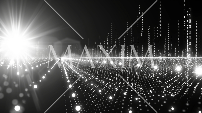 0と1で表されたデジタル空間を白黒で表現