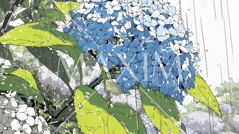 満開のアジサイと梅雨の雨