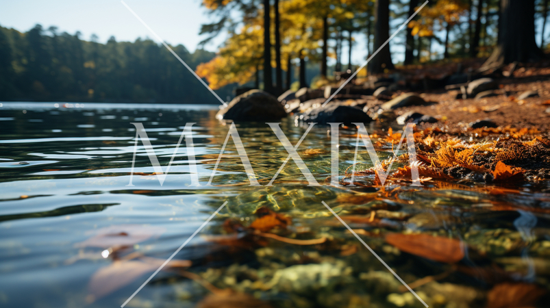 秋の森の湖の湖面から見た景色。水面には木々と空が映っている。水面には落ち葉が見える。：精緻CG