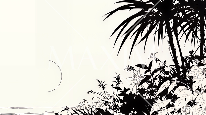 南の国の日没と熱帯植物のシルエット