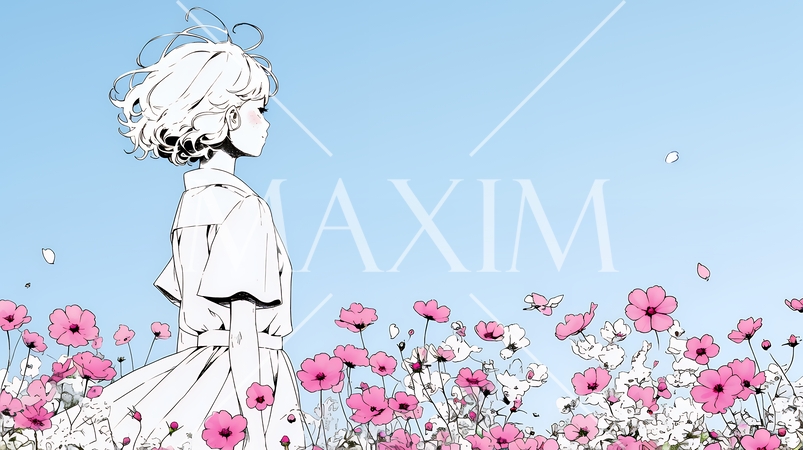 コスモス畑にいる若い女性（シンプルな色使い）