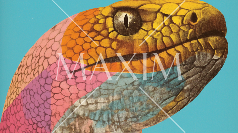 蛇の頭部の拡大画