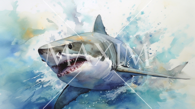 鮫（サメ）-水彩画