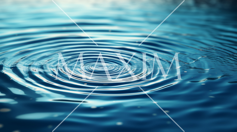 静かな水面にできた一つの波紋