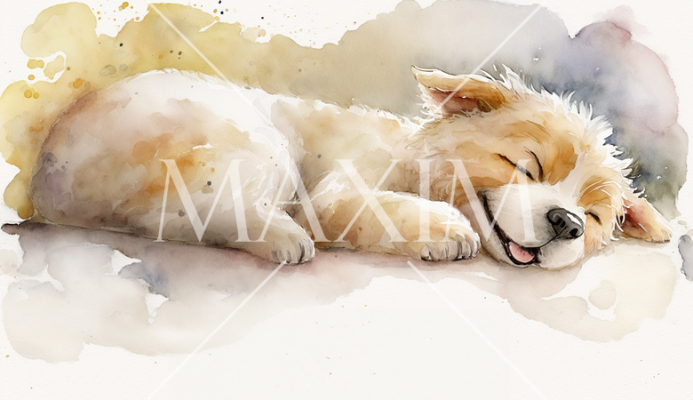 幸せな夢を見ている犬