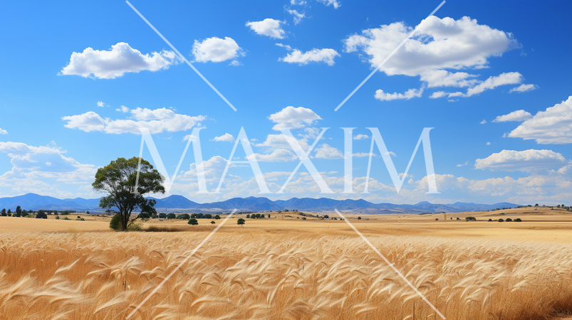 秋の草原と青空の精緻CG画