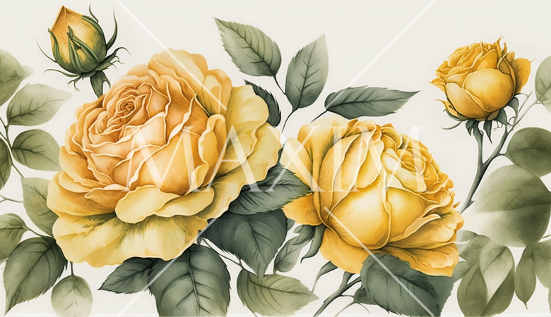 バラの花の水彩画