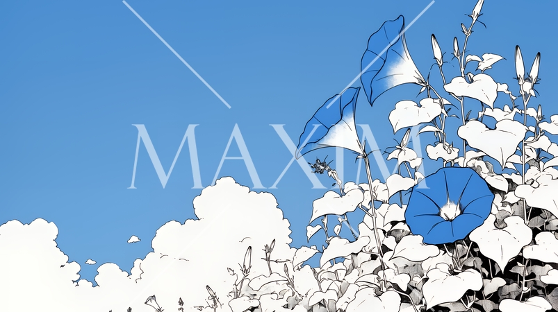 アサガオの花（シンプルな色使い）