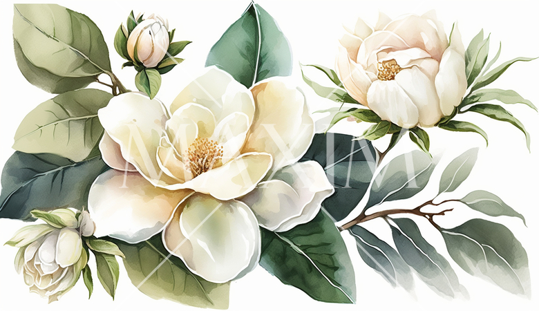 クチナシの花の水彩画