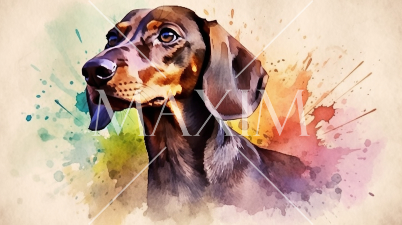 ダックスフンドの水彩画