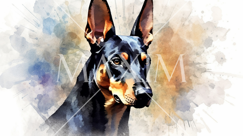 ドーベルマンの水彩画