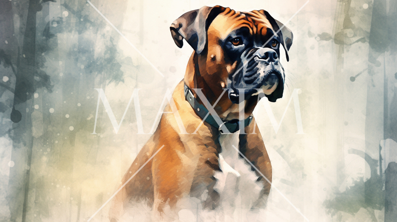 ボクサー犬の水彩画