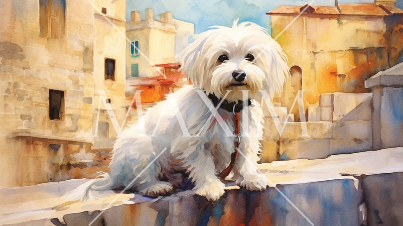 マルチーズの水彩画