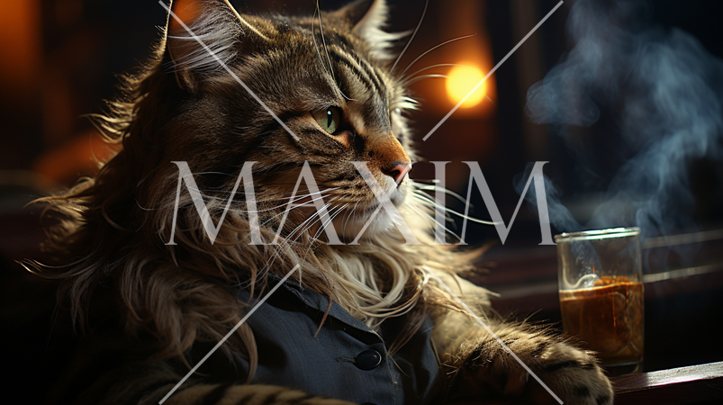 ボス猫：飼い主をも顎で使いそうなほど貫禄のある猫。