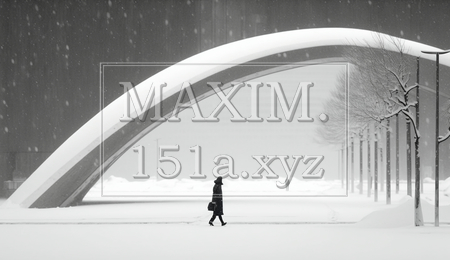 東京の雪の日の朝の静寂（イラストID:8138667-19805）