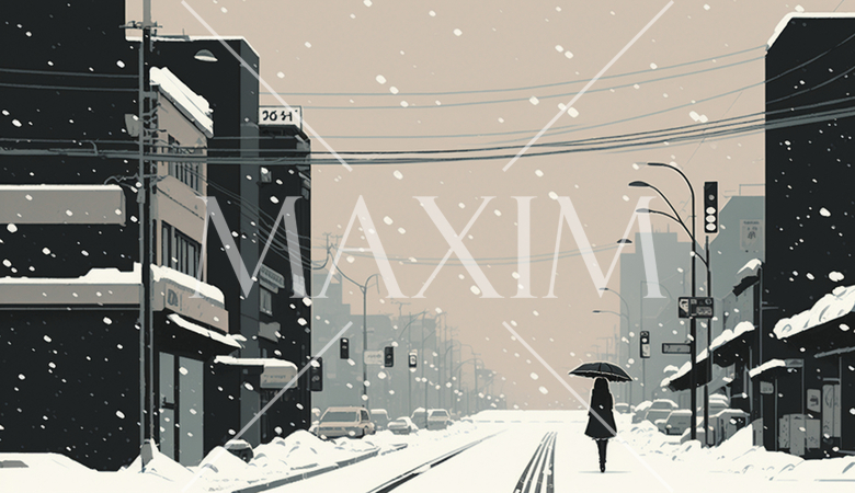 東京の雪の日の朝の静寂