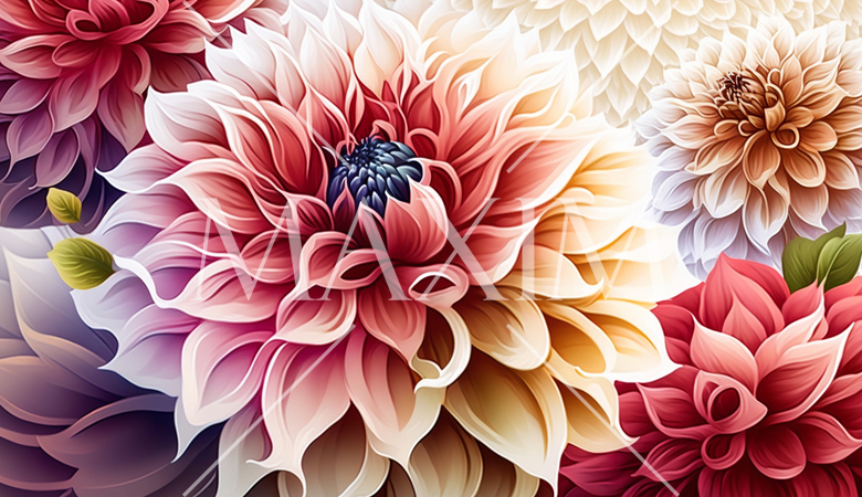 ダリアの花の水彩画