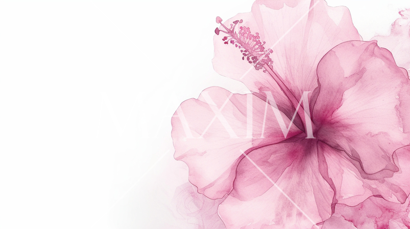 赤いハイビスカスの水彩画