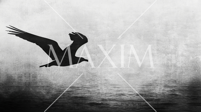 静寂と孤独感。一羽の鳥が水面近くを飛んでいるシルエット画で表現