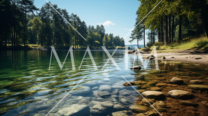 夏の森の湖の湖面から見た風景。水面には木々と空が映っている。水面の下には水草や岩についたコケも見える