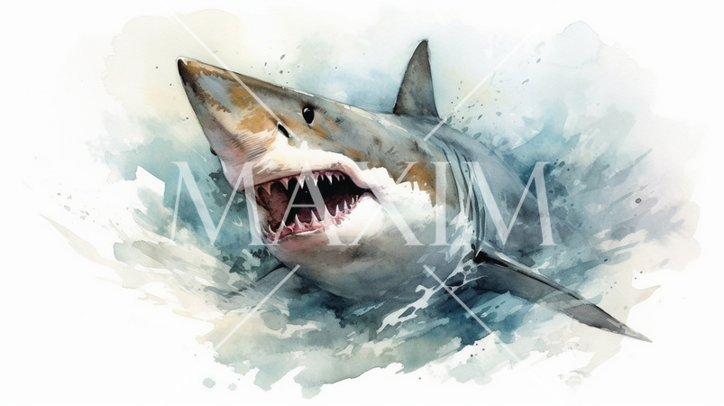 鮫（サメ）-水彩画