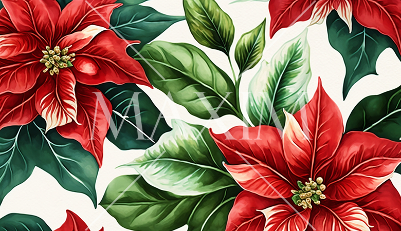 ポインセチアの花の水彩画