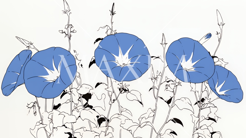 アサガオの花（シンプルな色使い）