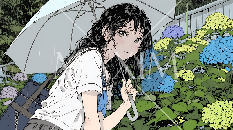 アジサイと梅雨の長雨と若い女性