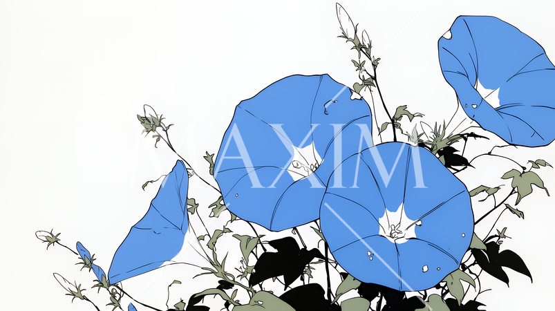 アサガオの花（シンプルな色使い）