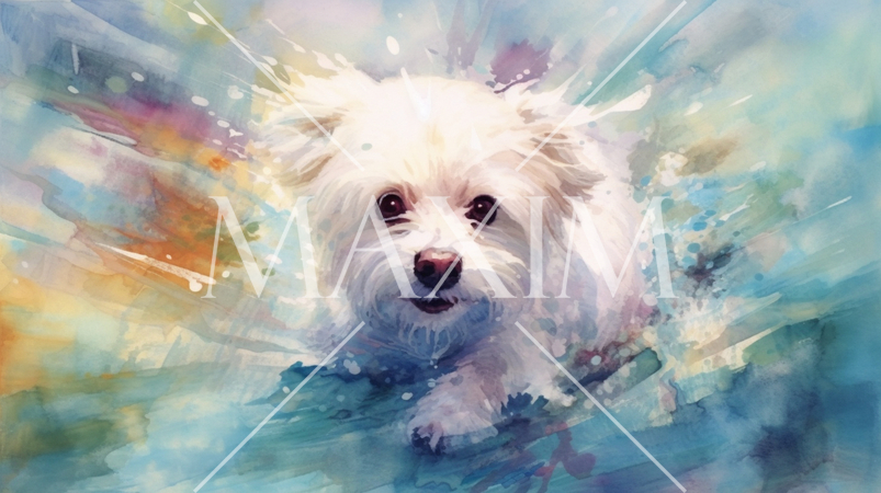 マルチーズの水彩画